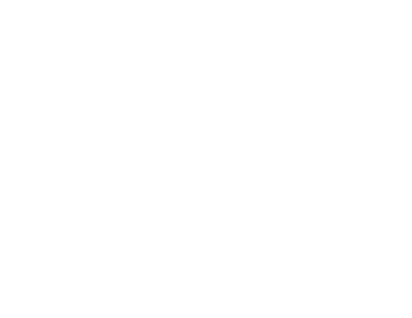 Sachverständiger Werst